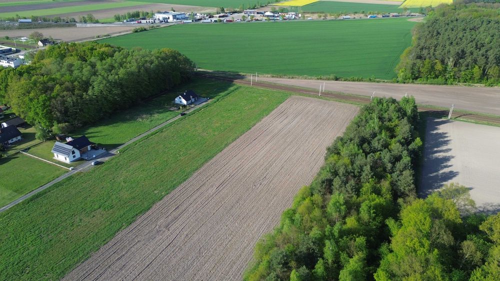 Działka Budowlana w Dąbrowie – idealna lokalizacja!