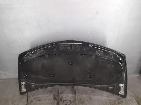 Capot RENAULT Clio III (BR0/1, CR0/1)