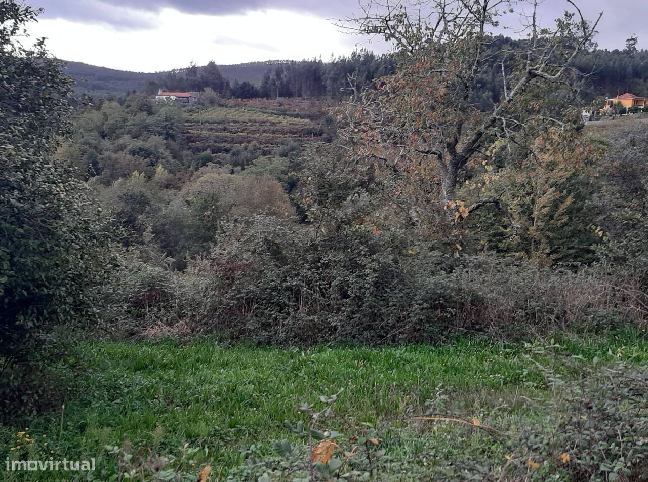 Vende Quinta em Paraíso Castelo Paiva