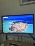 2 monitory + wolne ramiona. Monitor LCD Dell P2412HB 24 "