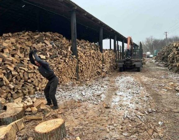 Дрова ОПТОМ та в роздріб. РАЗПРОДАЖ СКЛАДУ. Без передплат! Біла церква