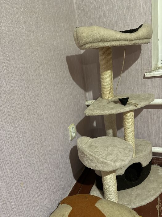 Кутова кігтеточка