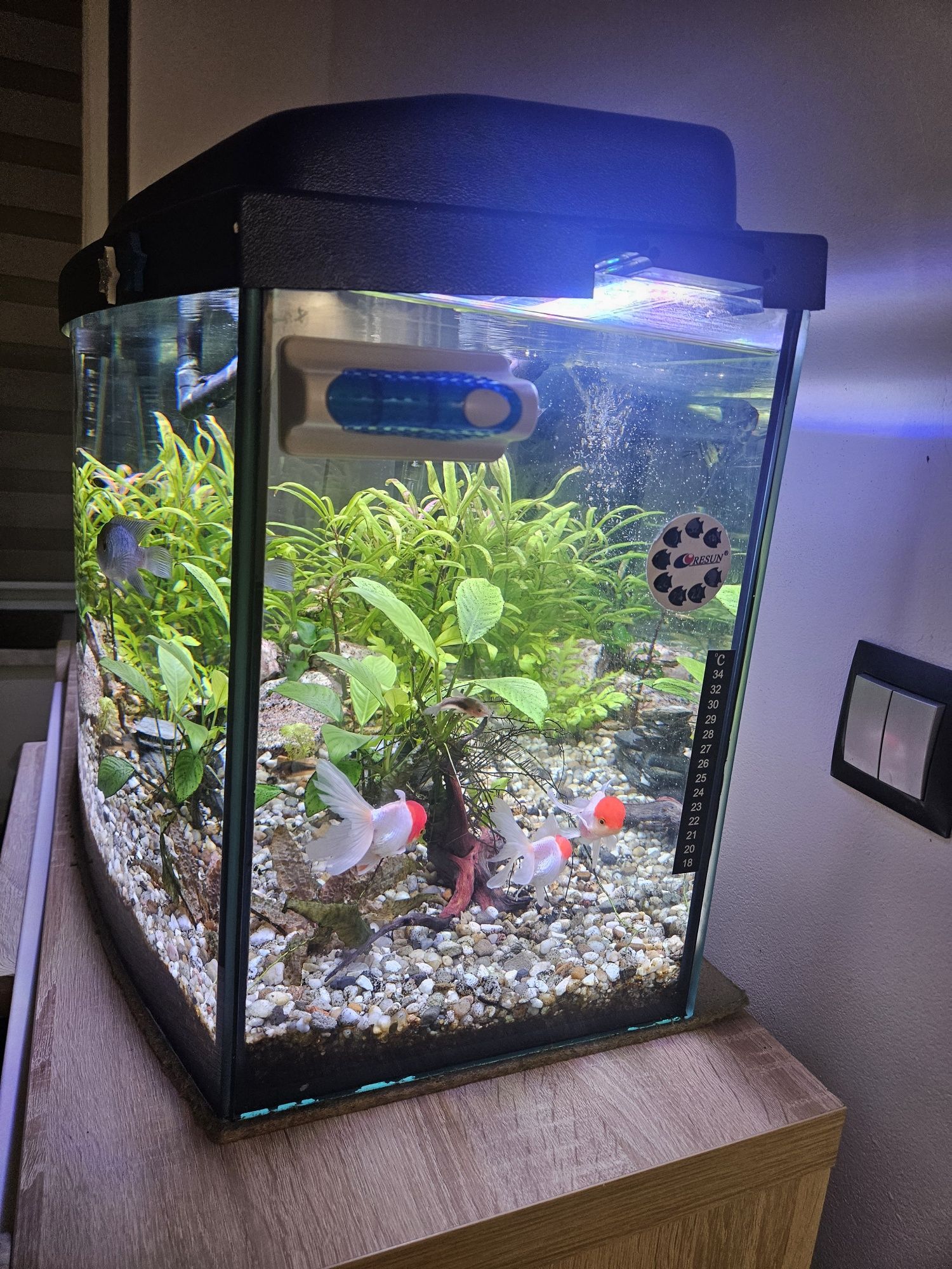Sprzedam panoramiczne akwarium 112l
