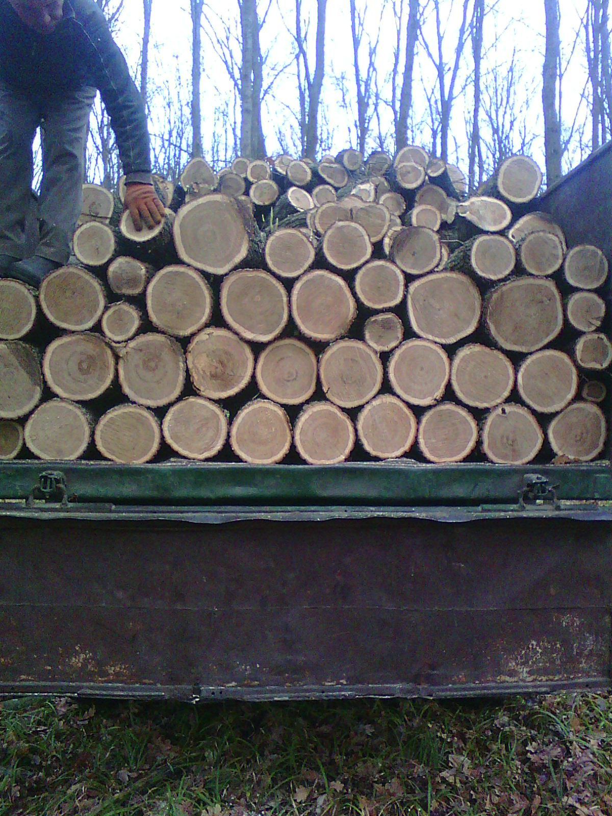 Продаю дрова твердих порід дуб,ясен,граб,клен.