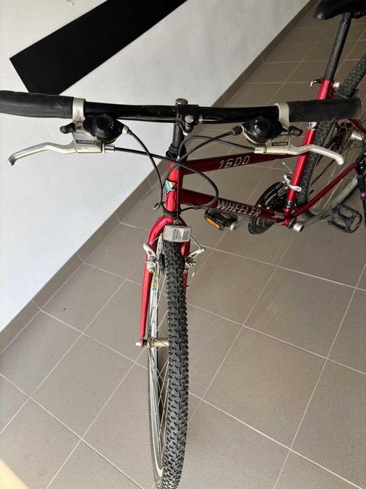 rower damski, górski WHEELER