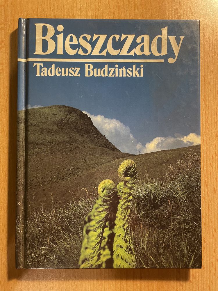 Bieszczady tadeusz budziński