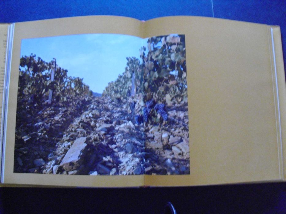 O Vinho do Porto-Notas sobre a sua História e Tecnologia