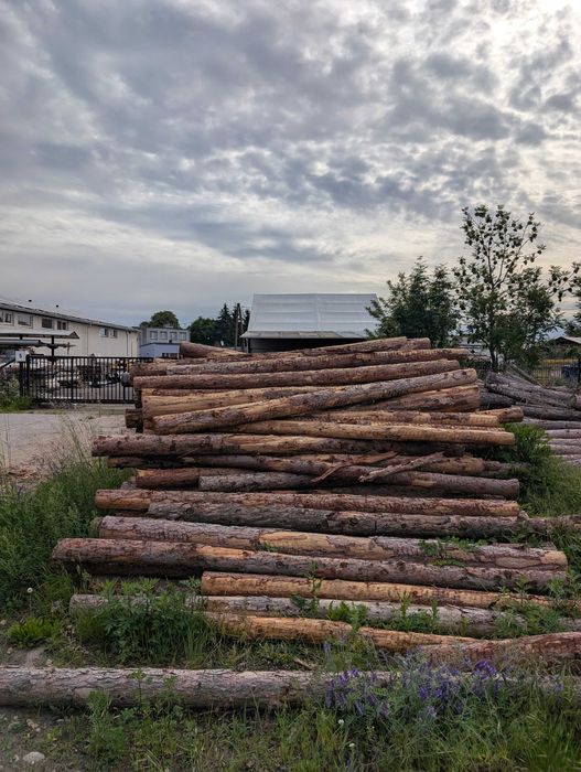 Słupki drewniane, kołki, stemple- ogrodzenie płot DOSTĘPNE