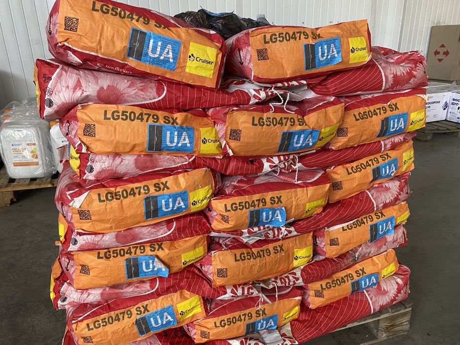 Насіння соняшника ЛГ 50479 . Соняшник посівний під Гранстар / експрес