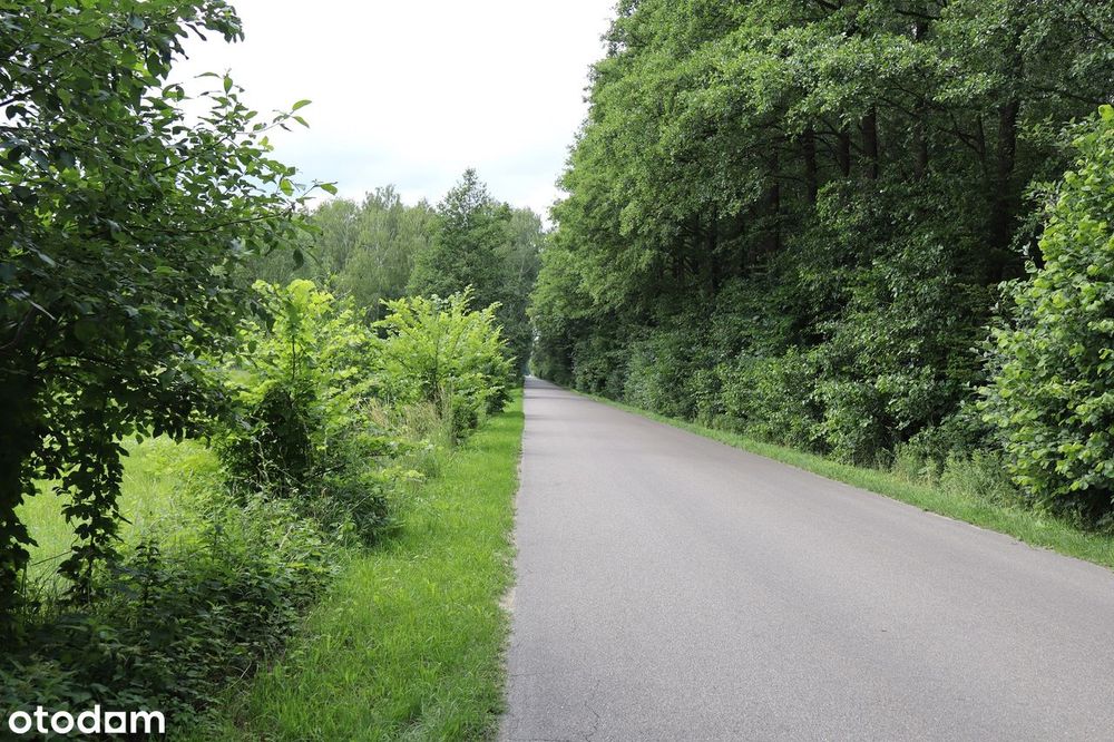 Działki Siedliskowe w Czepielinie-Kolonii, Gmina Mordy