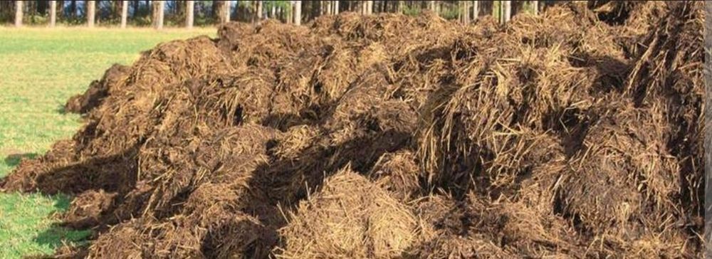 Wysłodki korzonki buraczane Pomiot Kurzy Wapno defekacyjne Żużel Pulpa