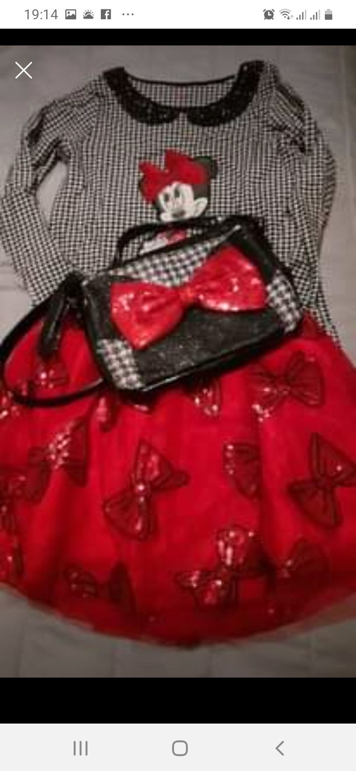 Minnie conjunto Disney