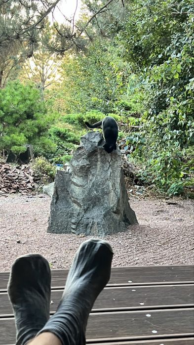 Затишний будинок біля річьки