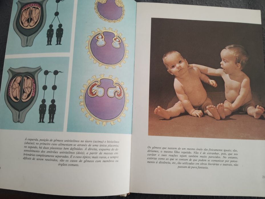 Livro da Mulher e Livro da Mãe Vintage