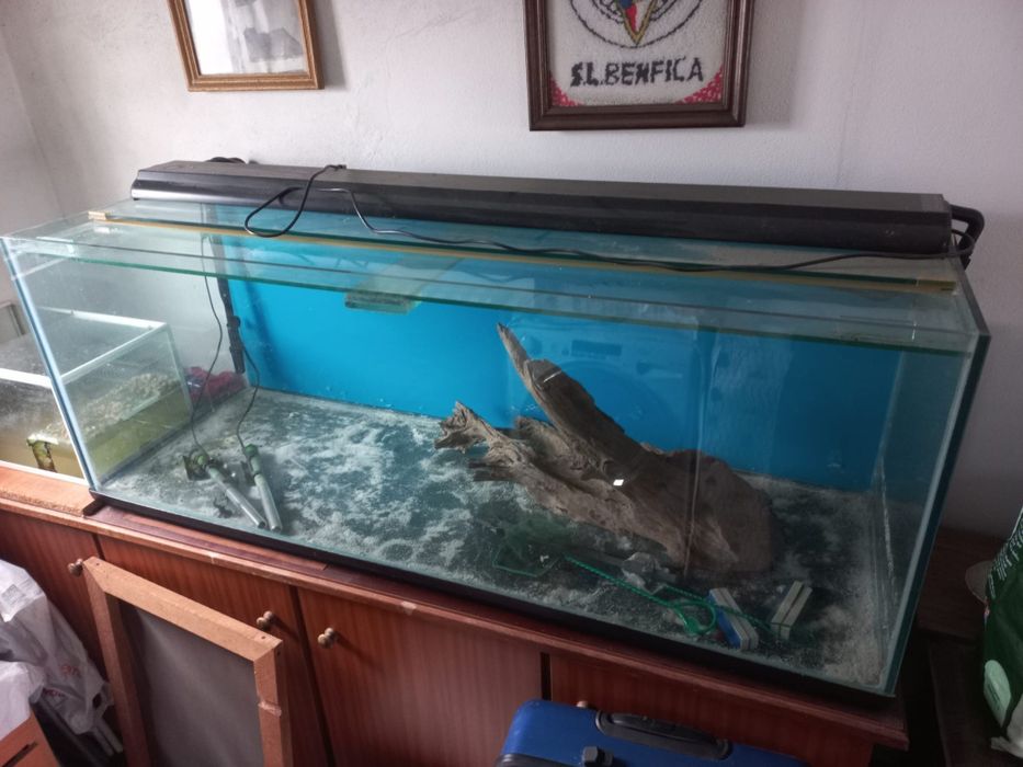 Aquário com acessórios