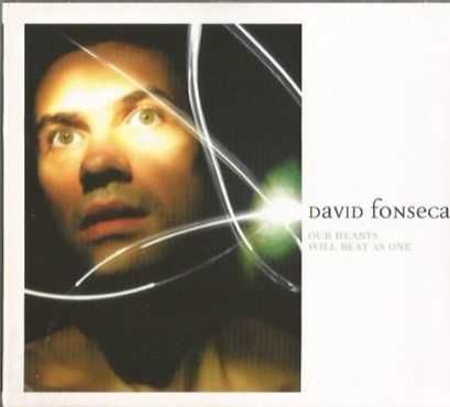 David Fonseca - Our Hearts Will Beat as One