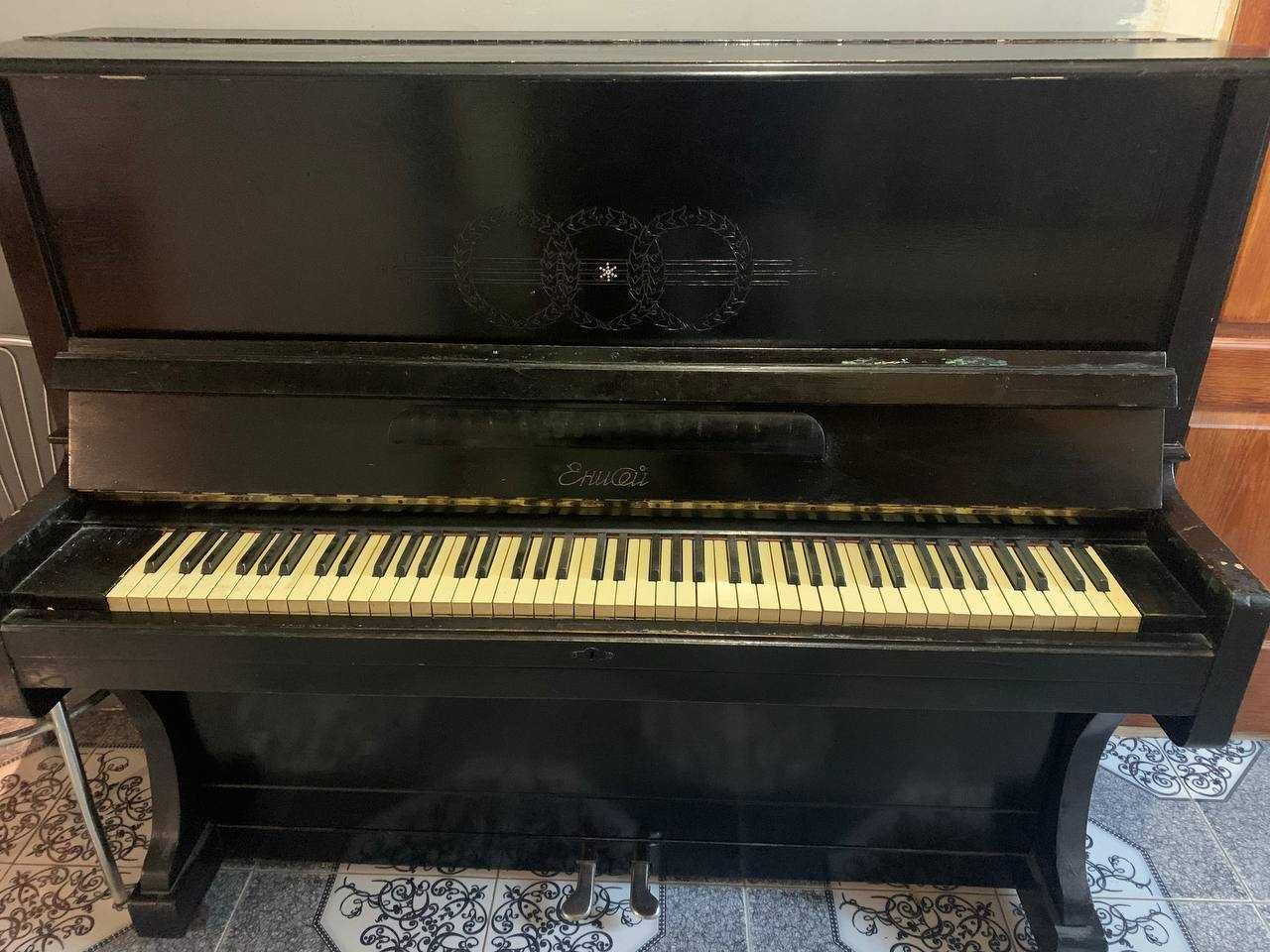 Піаніно                            Єнисей