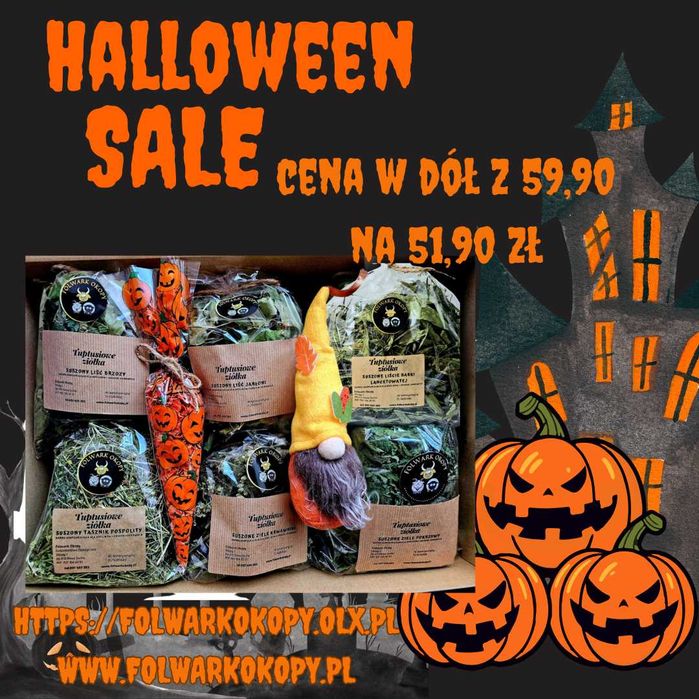 Jesienny box ziołowy dla królików i gryzoni w Halloweenowej cenie