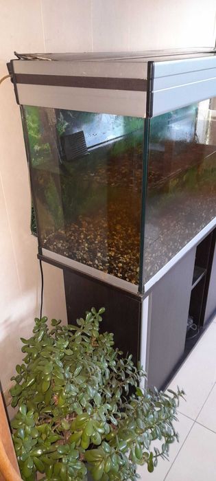Akwarium 240l z szafką