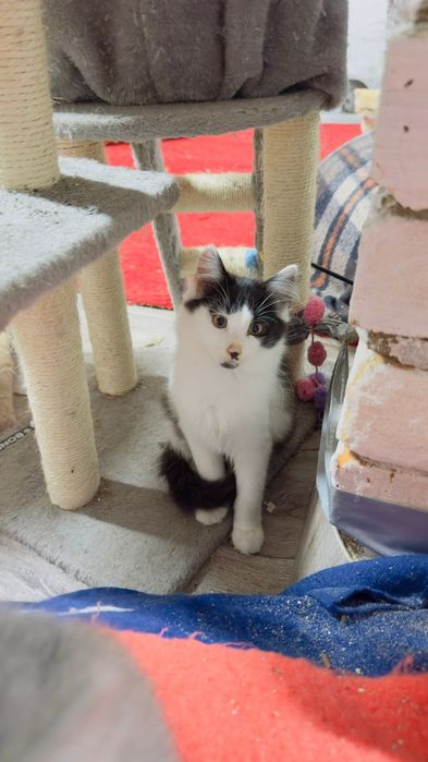 Хлопчик шукає дім