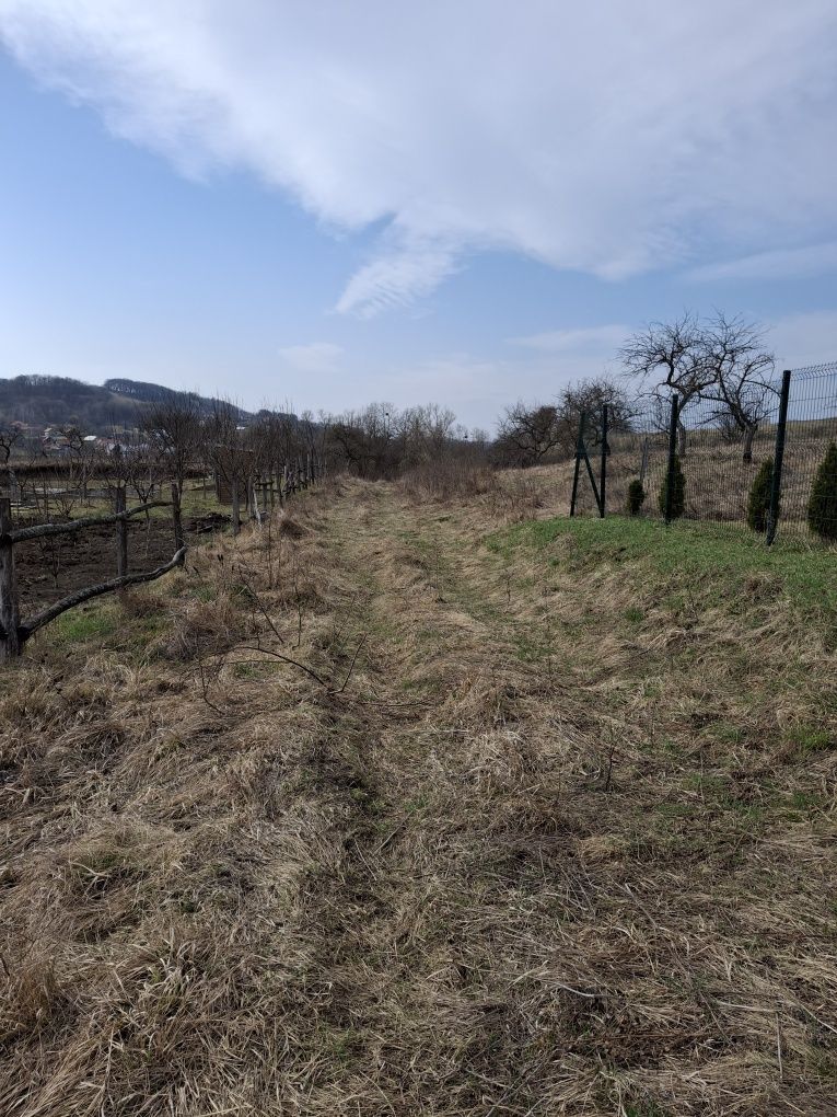 Продам земельну ділянку