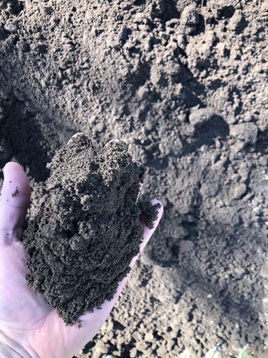 Ziemia ogrodowa przesiana