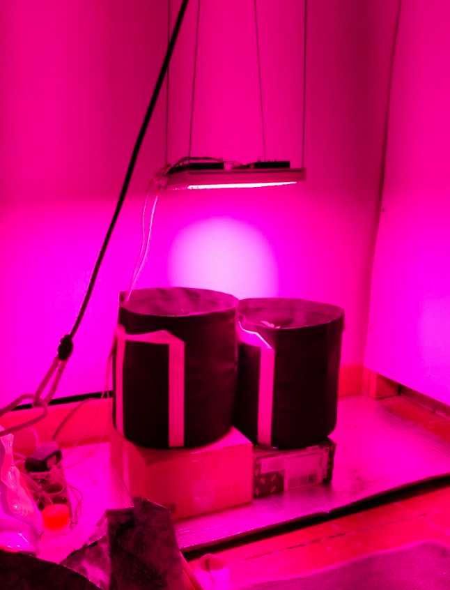 лампа для растений, для гроубокса,все стадии роста от 180,225,350 ватт
