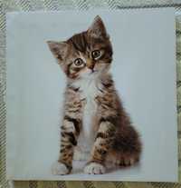 Obraz na płótnie kotek do pokoju dziecięcego dla dziecka 40 cm kot
