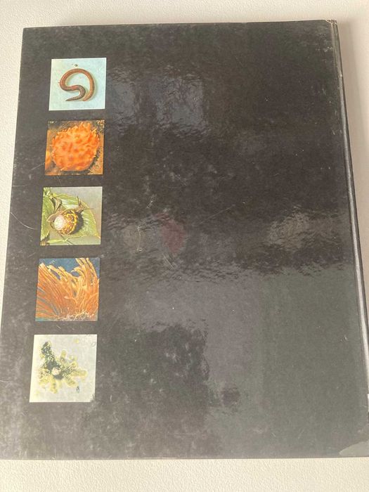 Enciclopédia do Reino Animal, de Maurice Burton