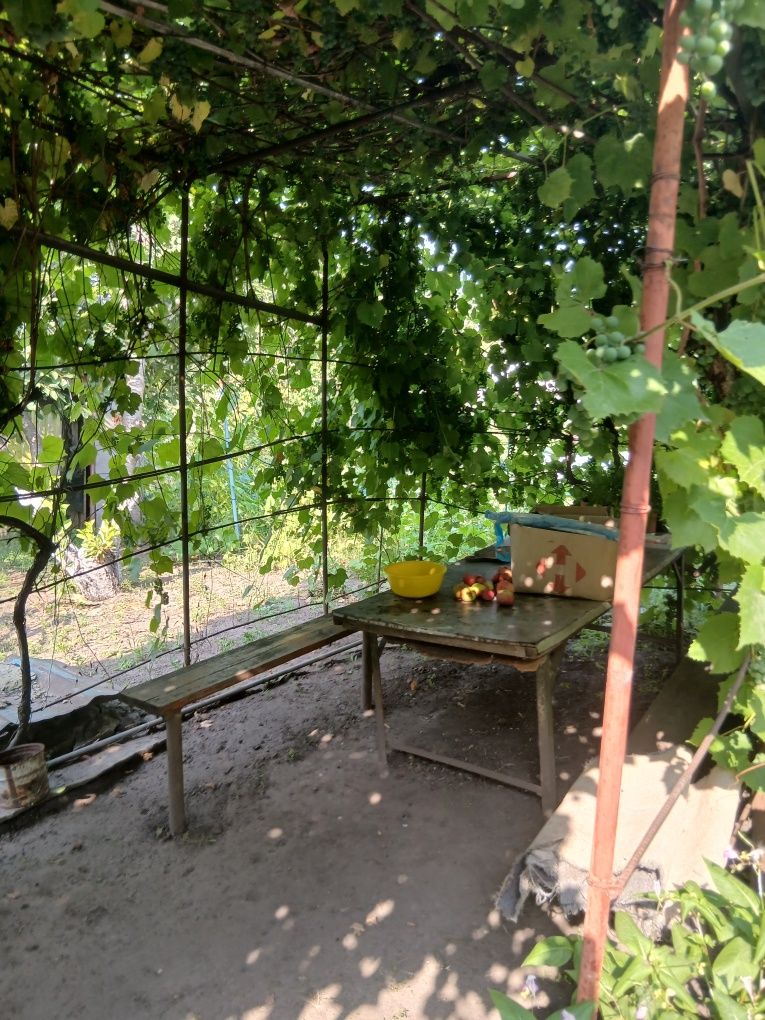 Сдам дом в аредну на немышле