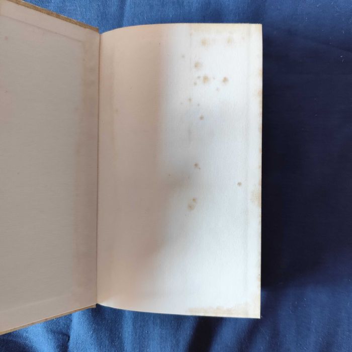 Camilo Castelo Branco - Novelas do Minho