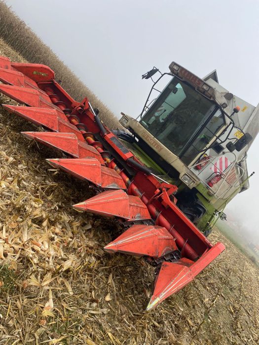 Przystawka do kukurydzy OLIMAC DRAGO