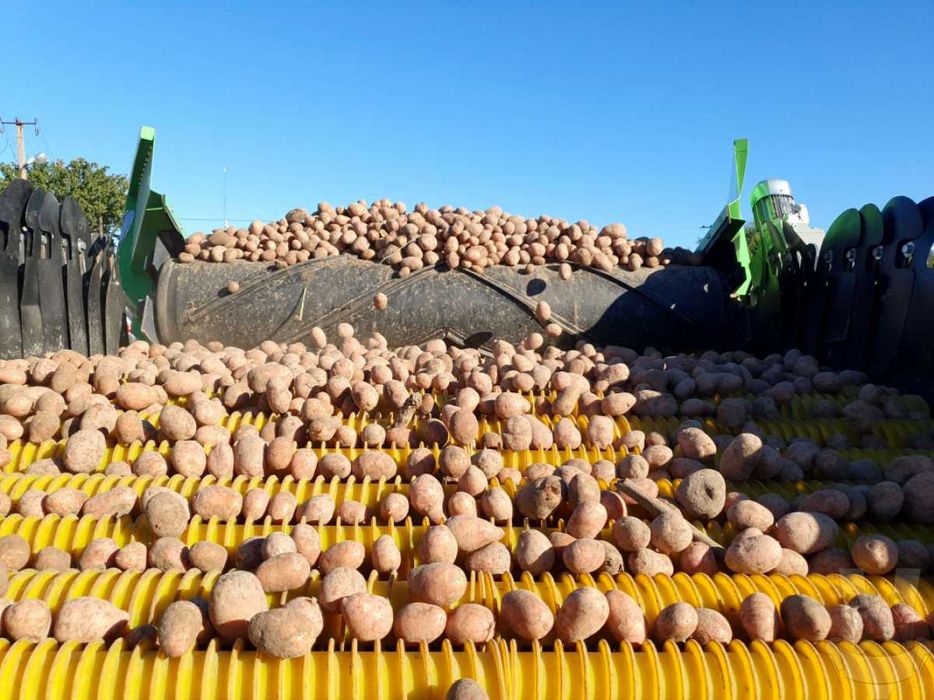 Спіральний вал поліуретановий сортувальної машини. сортування картоплі