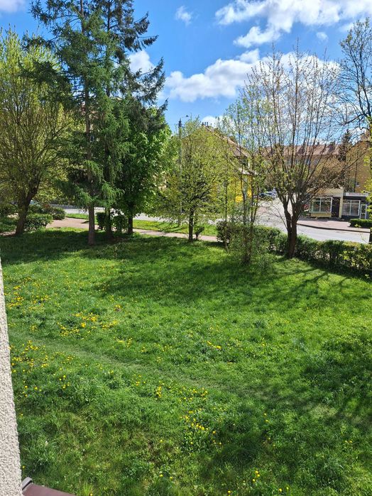 Apartament Norwida. Komfortowe dwupokojowe mieszkanie na doby. Centrum