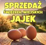 Jajka wiejskie wolny wybieg