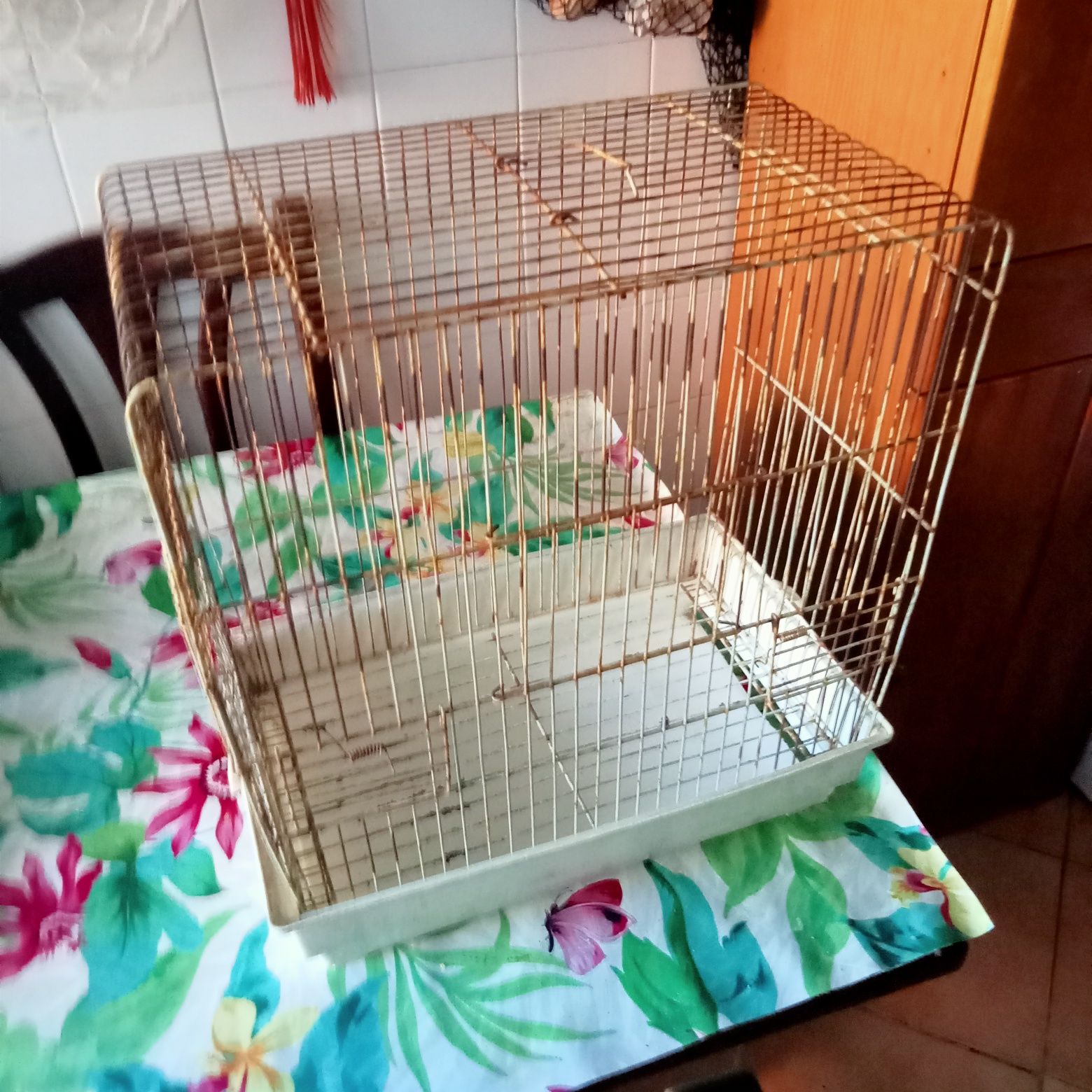 Gaiola para pássaro
