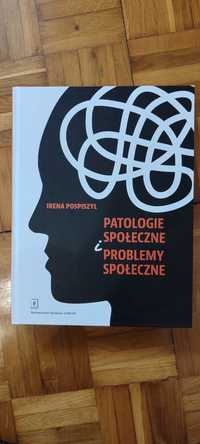 Patologie społeczne, Problemy społeczne