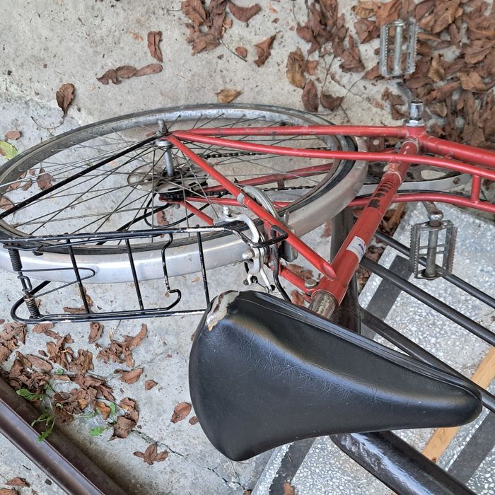 Turmberg damka z koszykiem