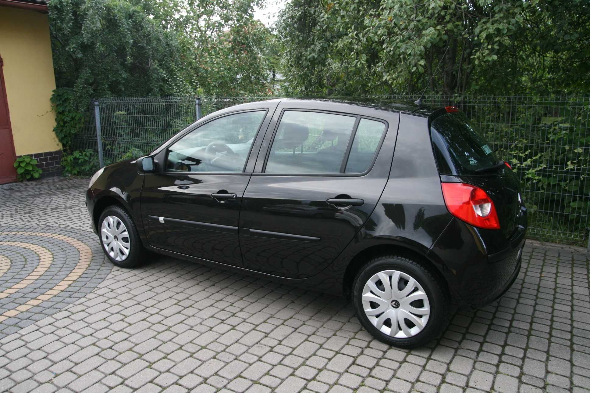 Renault Clio Zadbany