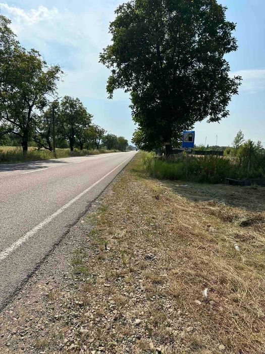 Продається ділянка для ведення бізнесу в м. Тячів