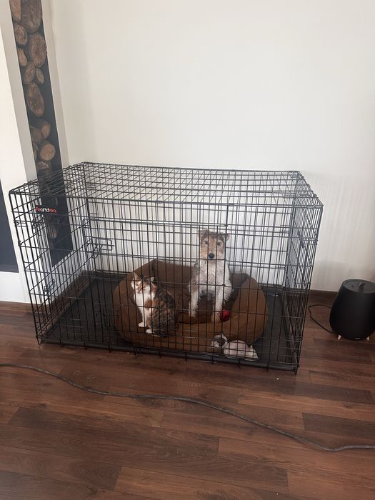 Klatka Kojec dla psa XXL Transporter Kennel 136 x 87 x 79 cm