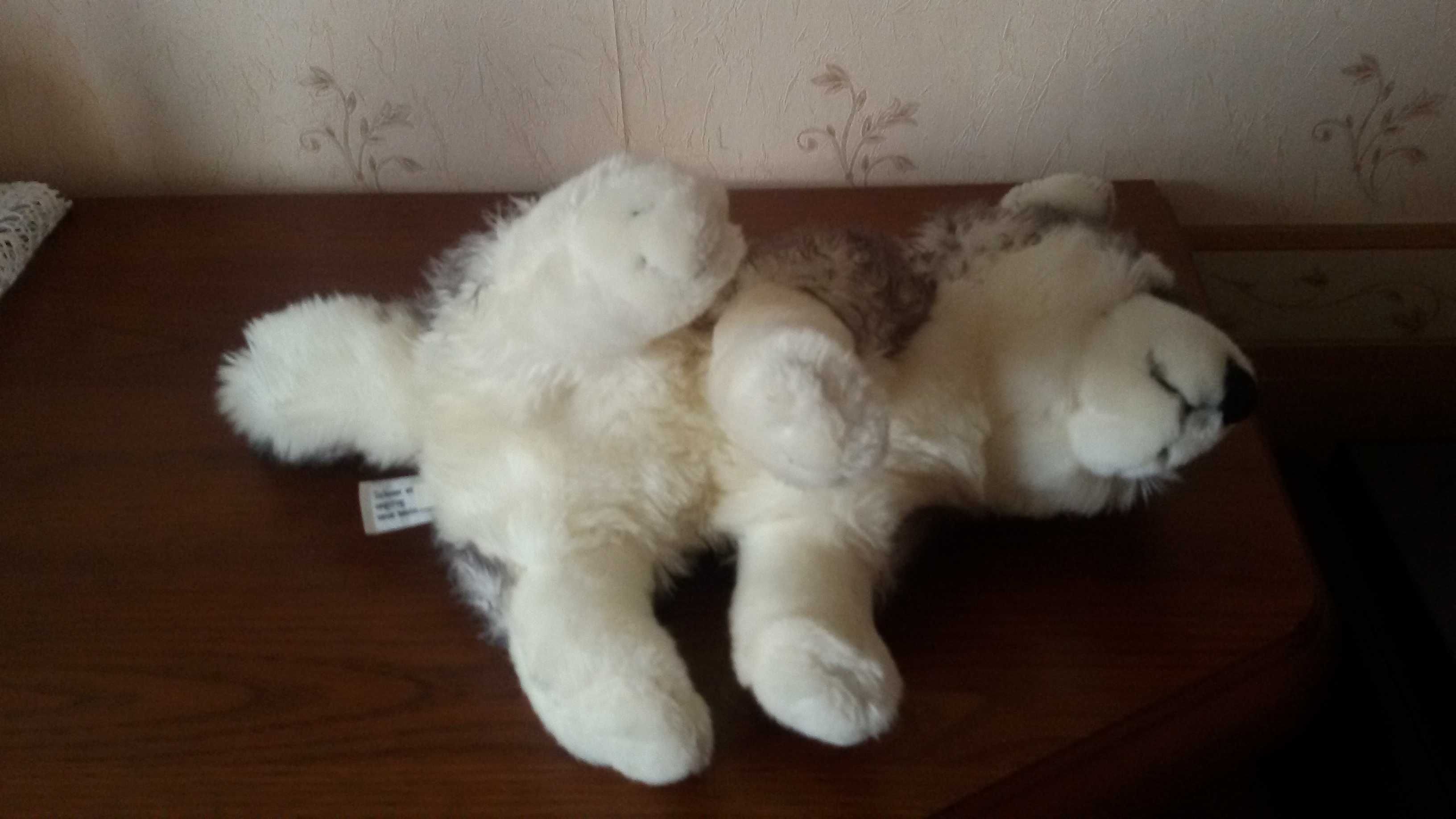 Maskotka Pies Husky 25 cm, firma Uni-Toys, nowa