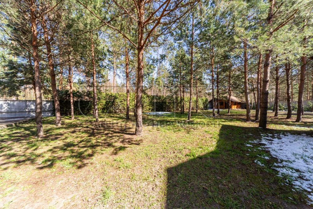 Продаж будинку, Партизанська , Забуяння