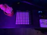 Novation Launchpad mk2 + torba! (Nie mini, duży)