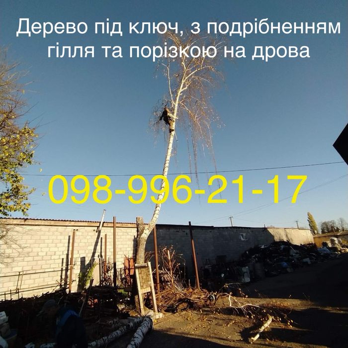 Зрізання аварійних дерев.Порізка  на дрова.Подрібнення гілля.