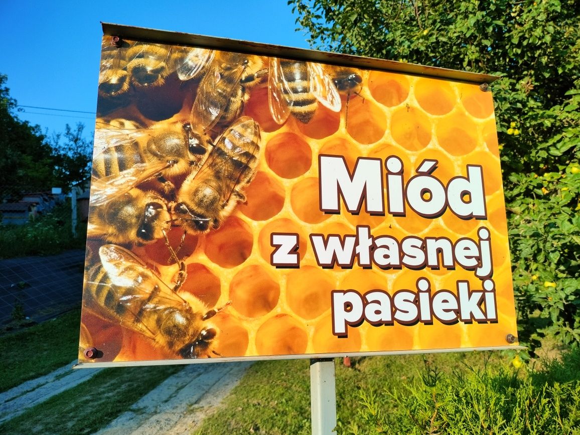 Miód z własnej pasieki miód wielokwiatowy