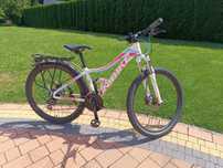 Rower damski unibike move