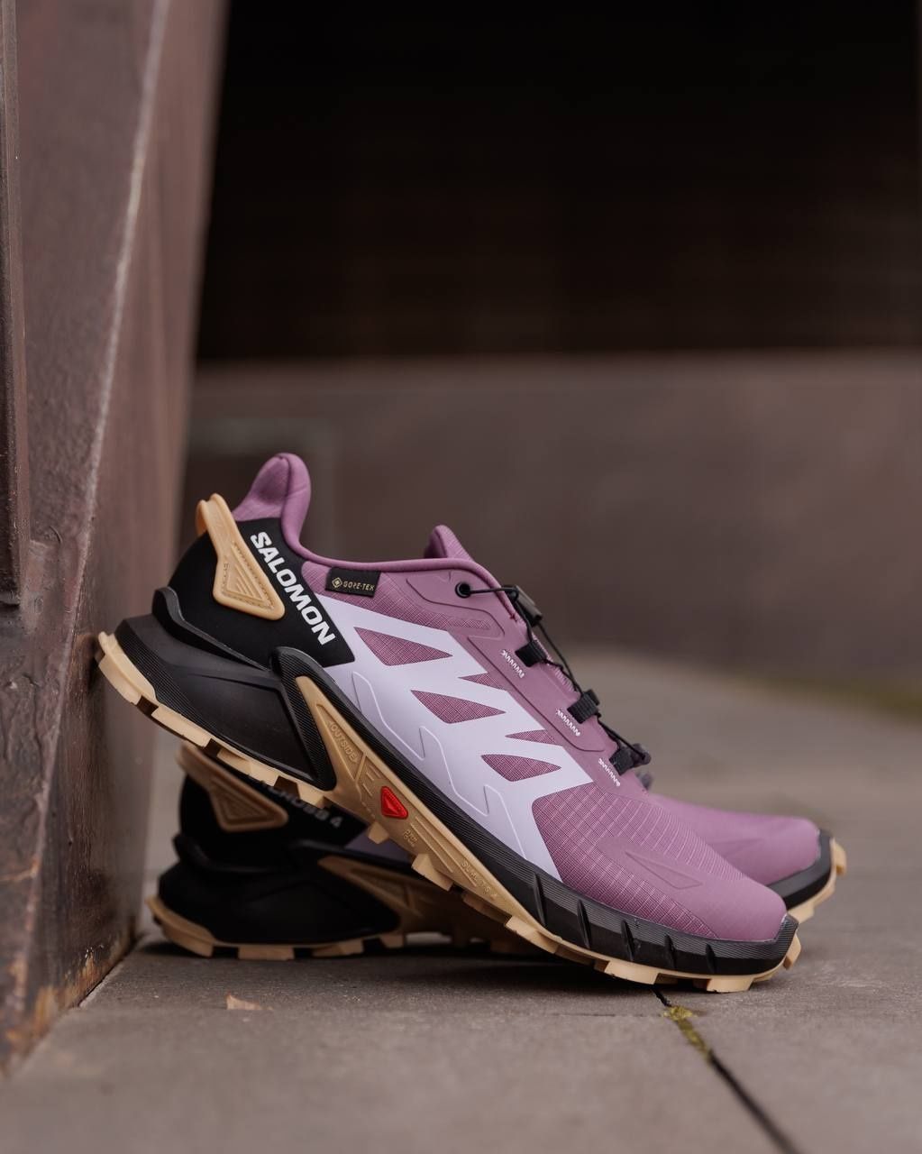 Чоловічі Осінні Кросівки Salomon Supercross Gore-Tex