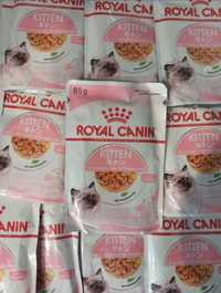 75 saszetek kitten w sosie Royal Canin Gratis 2 wiaderka na karmę