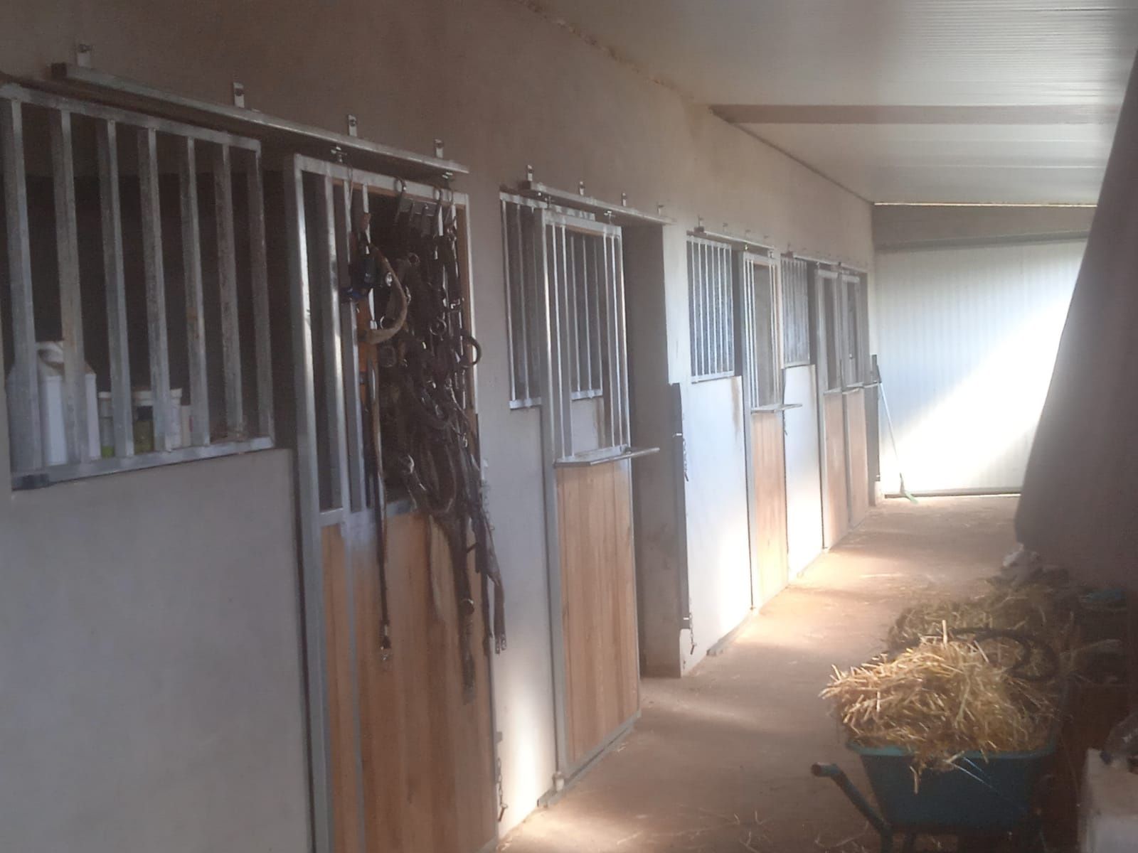 alugo ou vendo terreno com picadeiro e boxes para cavalos